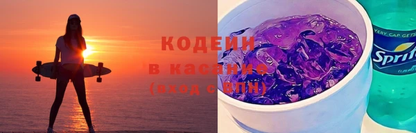 молекула духа Заполярный
