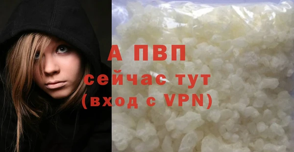 PSILOCYBIN Покачи
