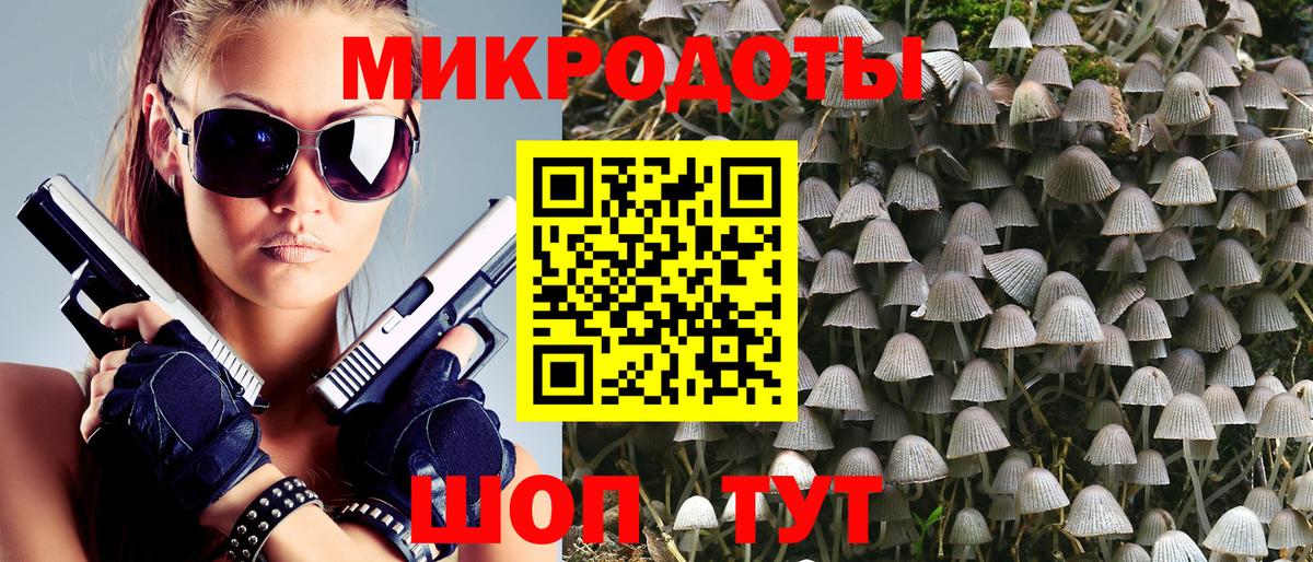 Псилоцибиновые грибы Cubensis Луховицы