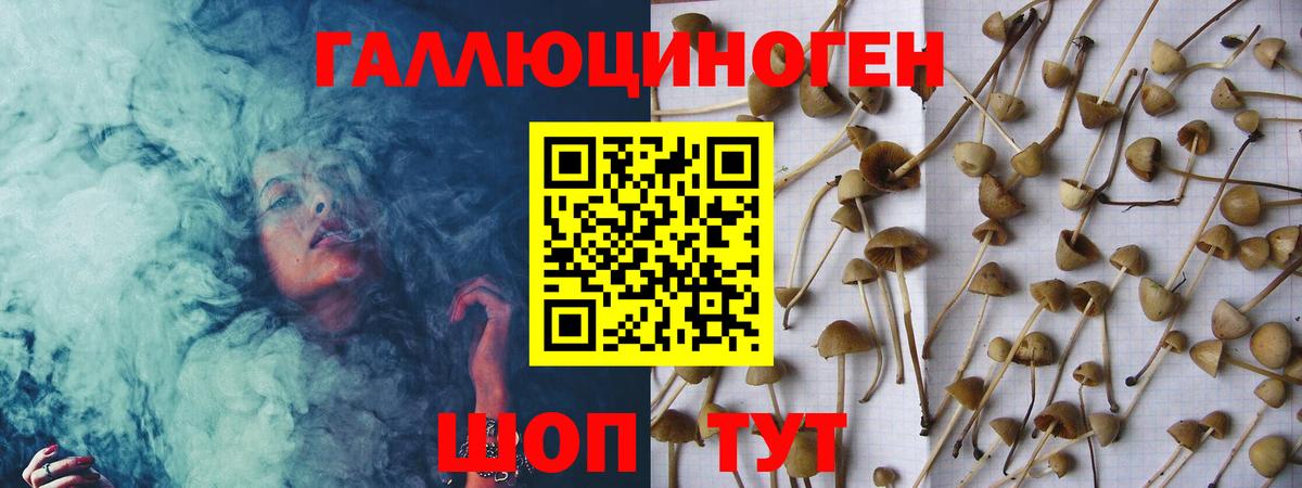 Псилоцибиновые грибы Psilocybine cubensis Луховицы