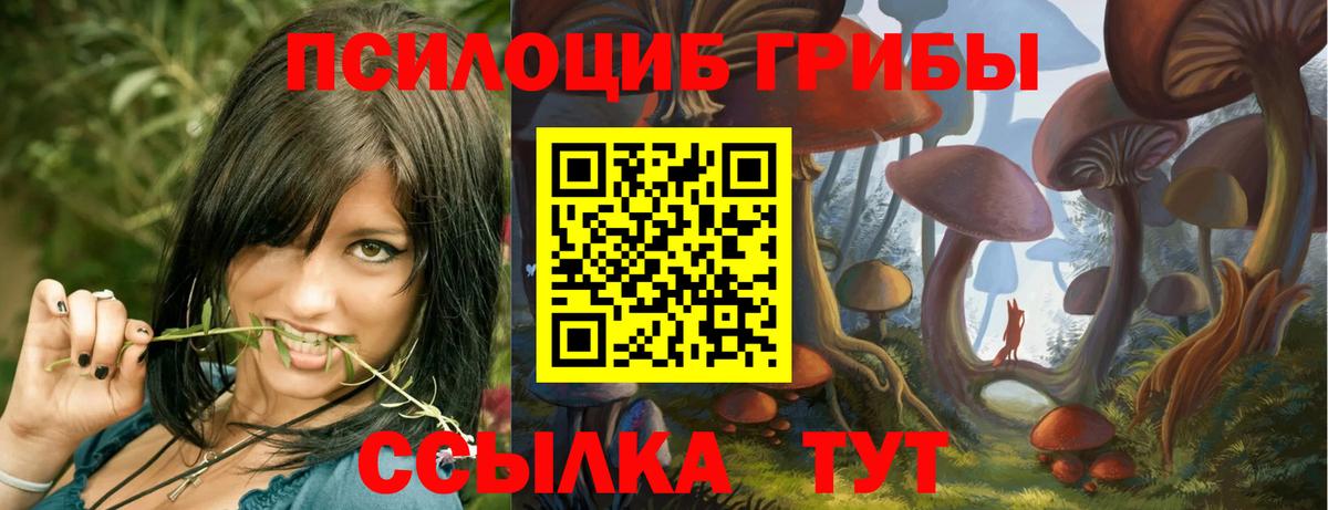 Галлюциногенные грибы MAGIC MUSHROOMS  Вход с VPN  Псилоцибиновые грибы Magic Shrooms  Луховицы 