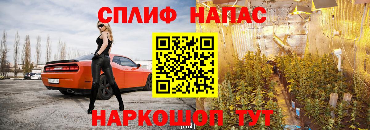 Конопля SATIVA & INDICA Луховицы